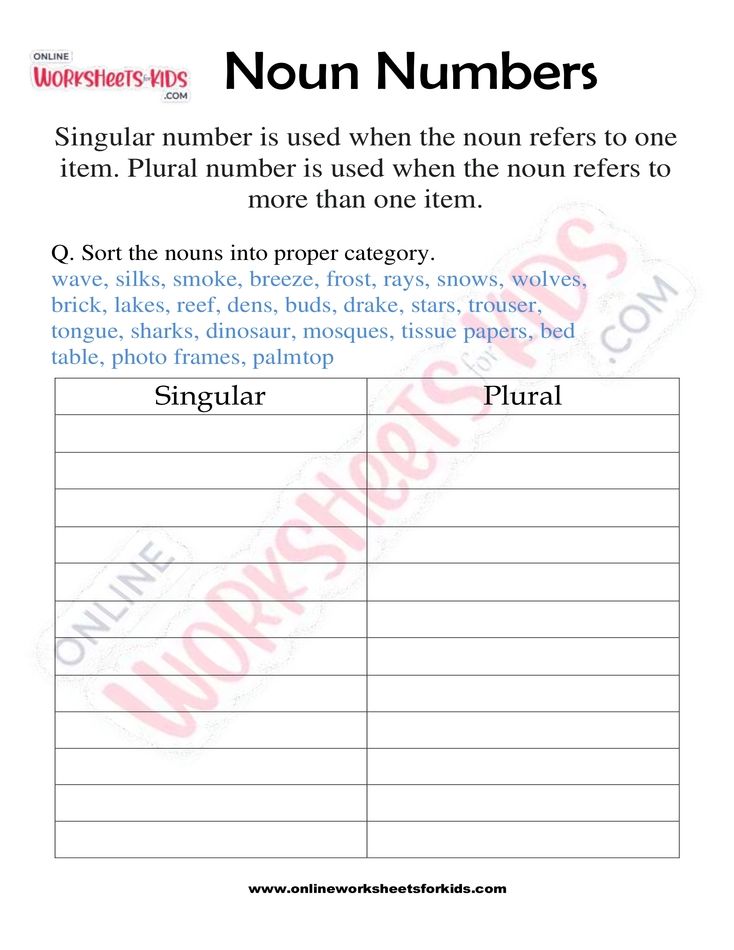 Noun Numbers 07