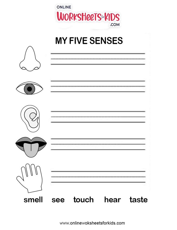 5 Senses (b)