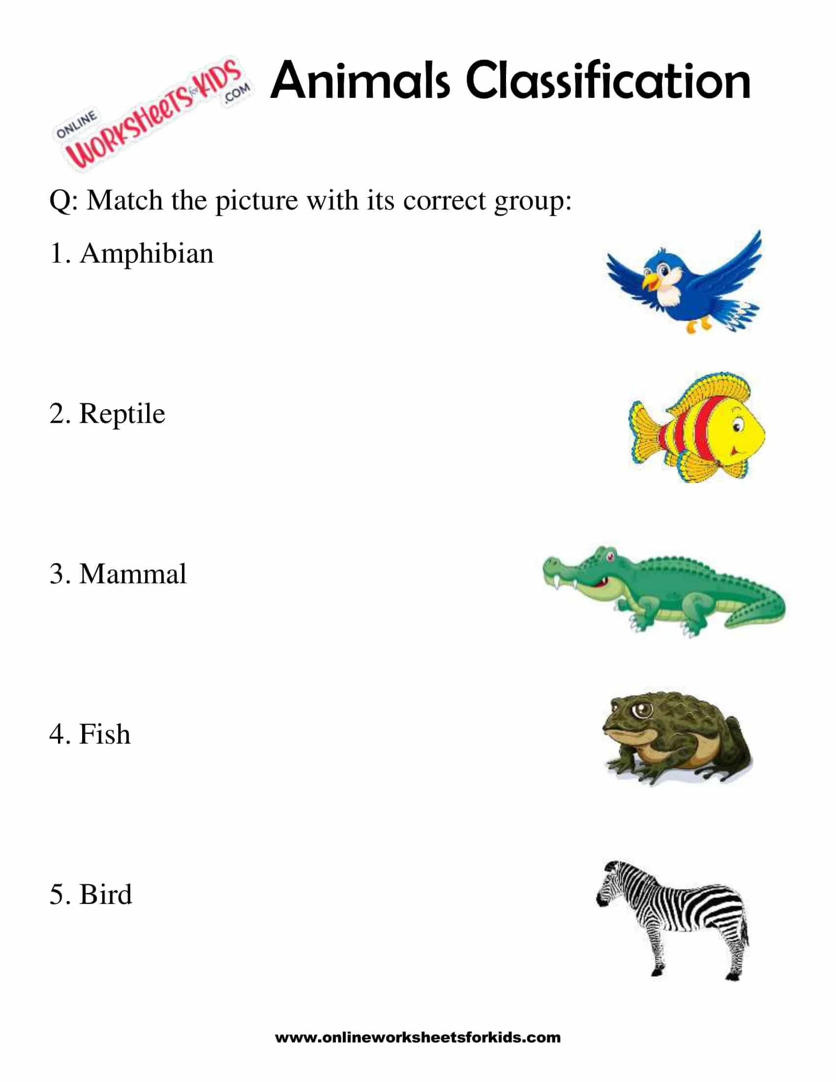 animals-classification-worksheet-for-1st-grade-4