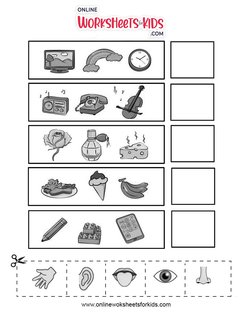 free 5 senses worksheets and printable sheets for kids