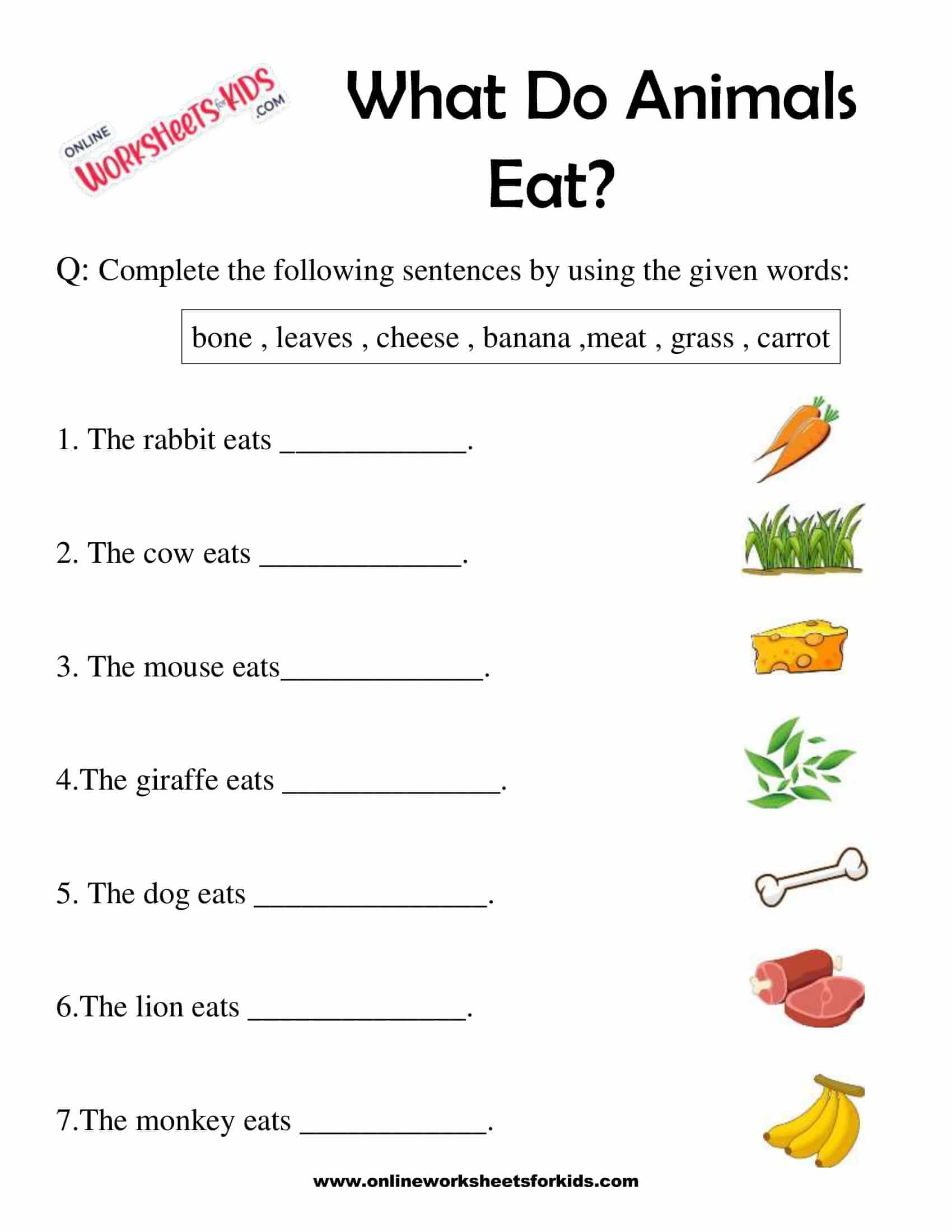 What Do Animals Eat Worksheet for Grade 1-7
