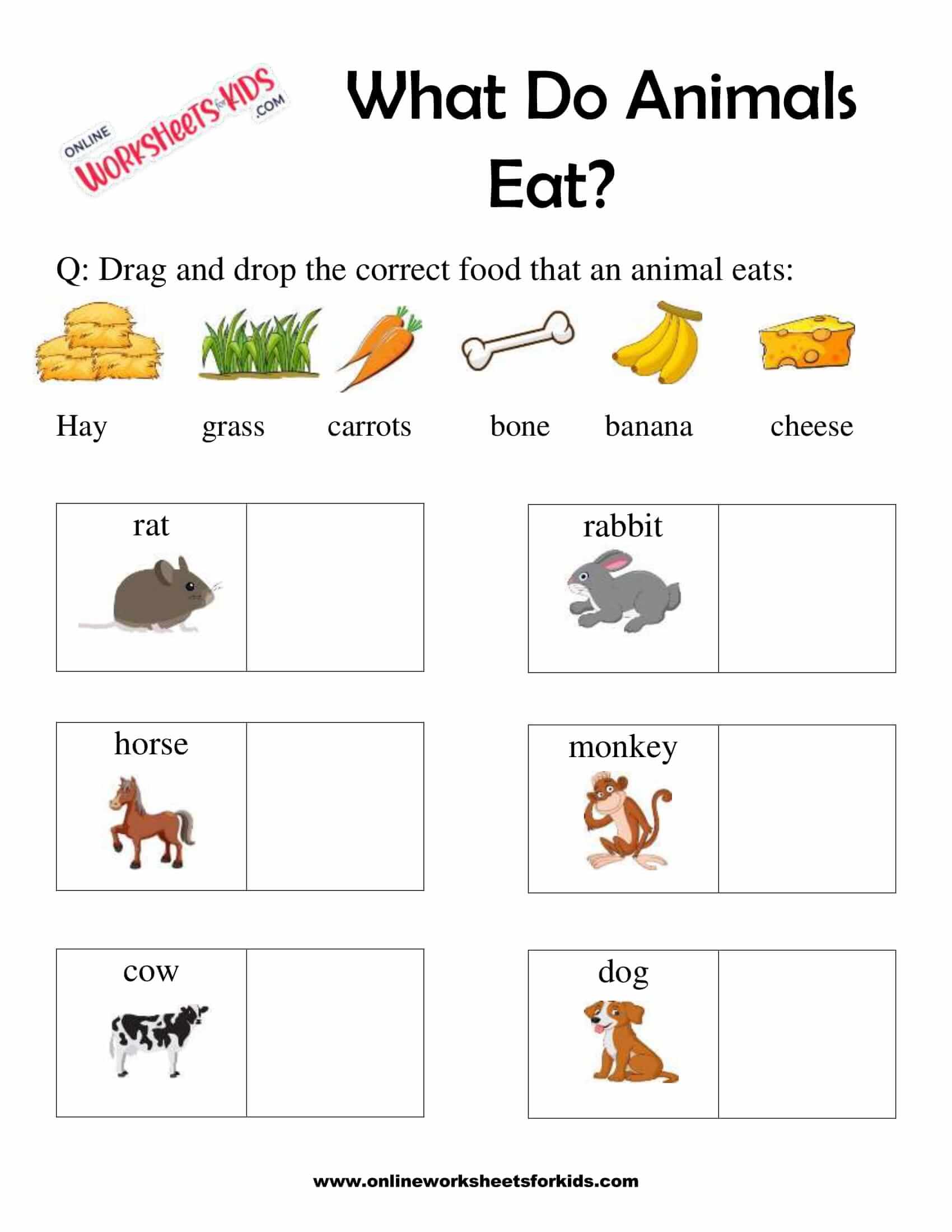 What Do Animals Eat Worksheet for Grade 1-5