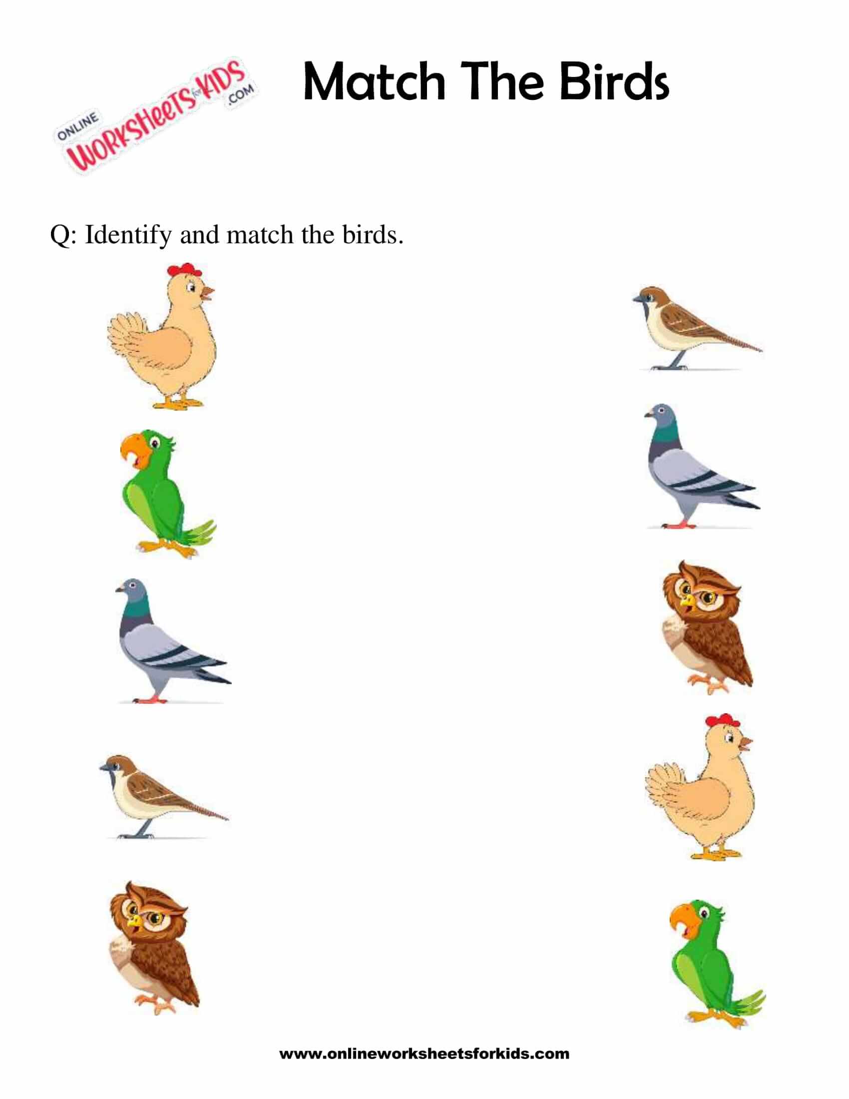 bird-theme-printables-early-learning-printables-picture-matching-worksheet-birds-theme