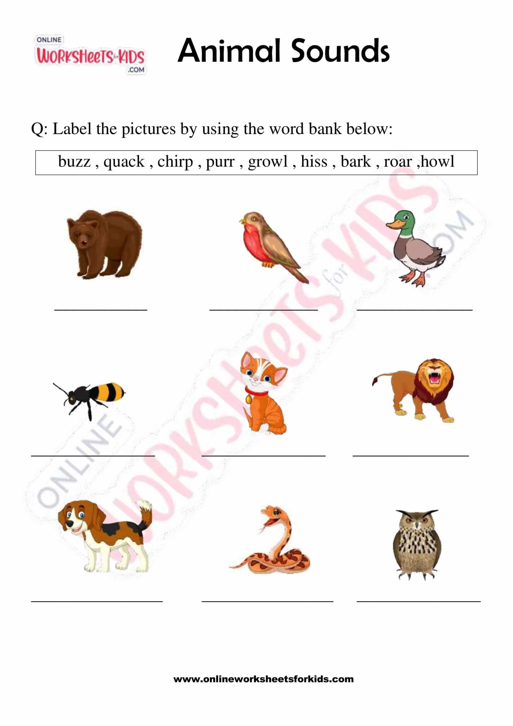 Animals and Their Sounds Worksheet for Grade 1