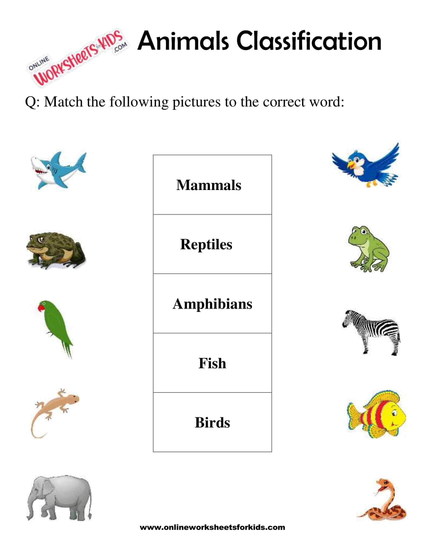 Animals Classification Worksheet For 1st Grade 6