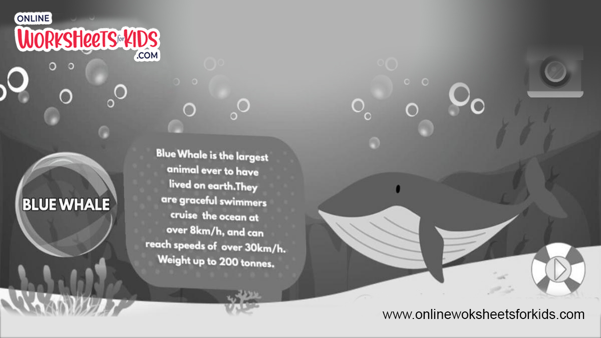 Free Facts About Sea Animals Worksheets for Kids
