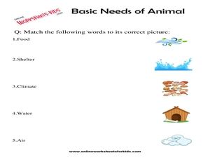 Free Basic Needs of Animals Worksheet for Grade 1