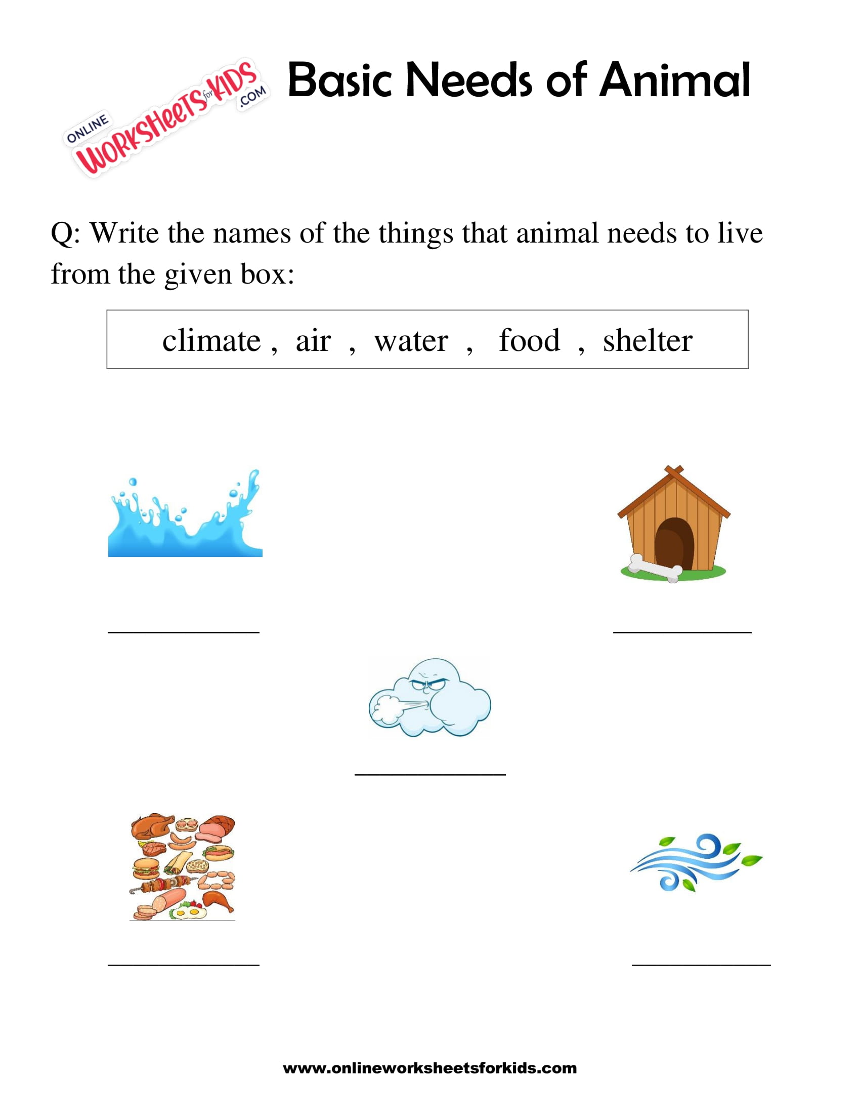 Basic Needs of Animal Worksheet for grade 1-2