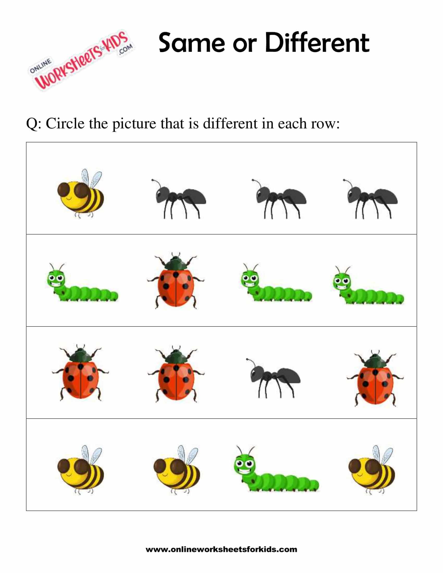Same or Different Worksheets 3