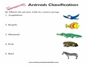 Free Animals Classification Worksheet for Grade 1