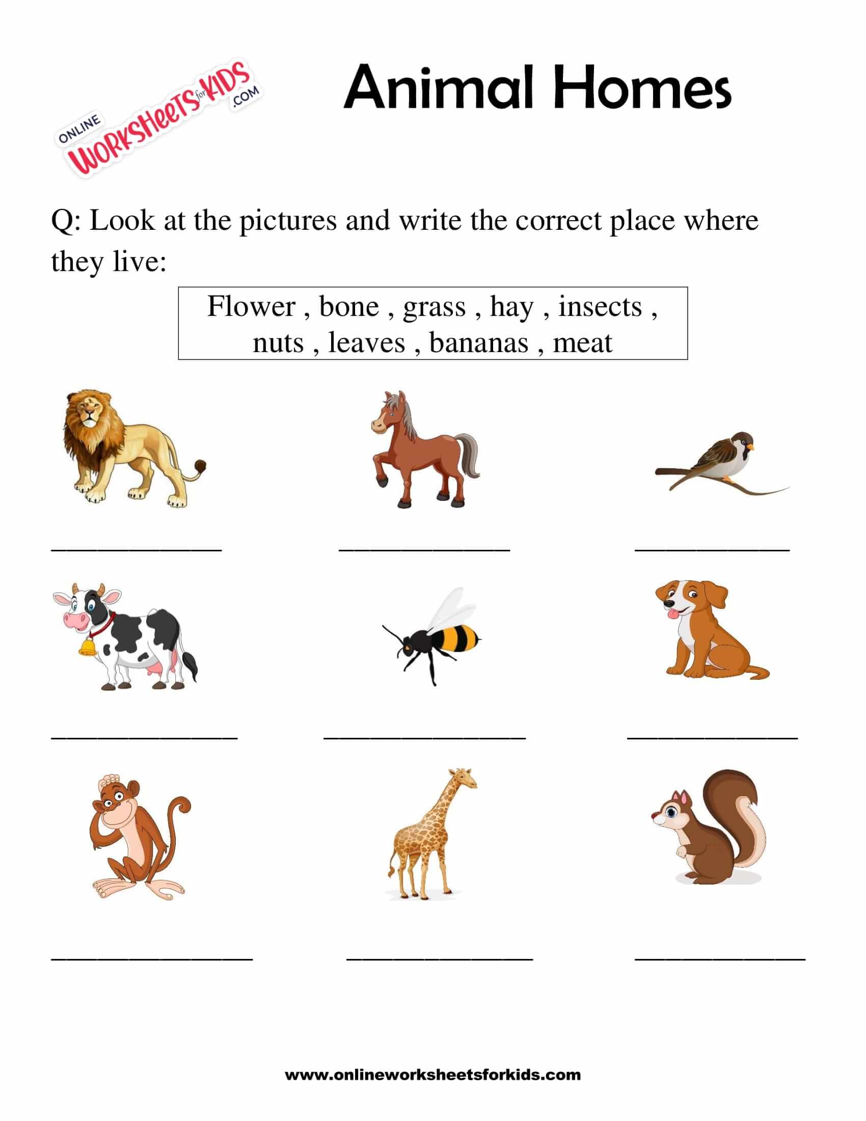 Free Animals Homes Worksheet for Grade 1