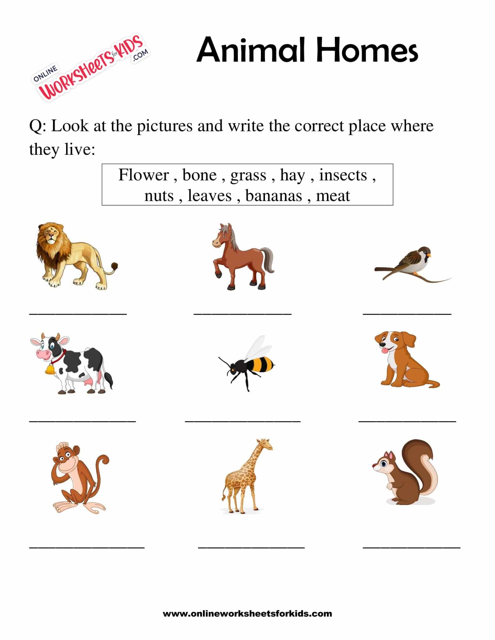 animal-homes-worksheet-for-grade-1-1