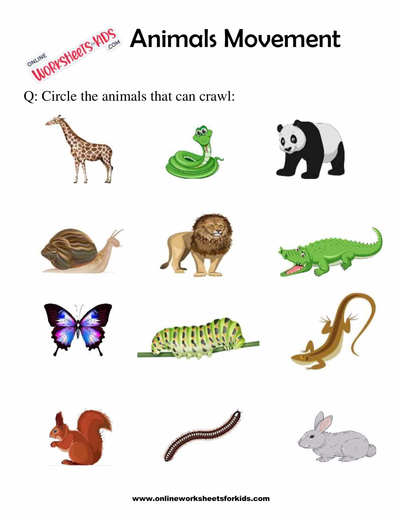 Animals Movement Worksheets For 1st Grade 10