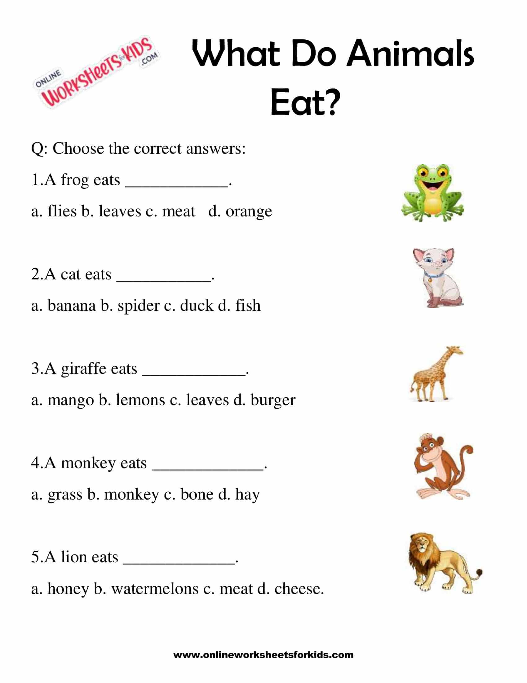 What Do Animals Eat Worksheet for Grade 1-8