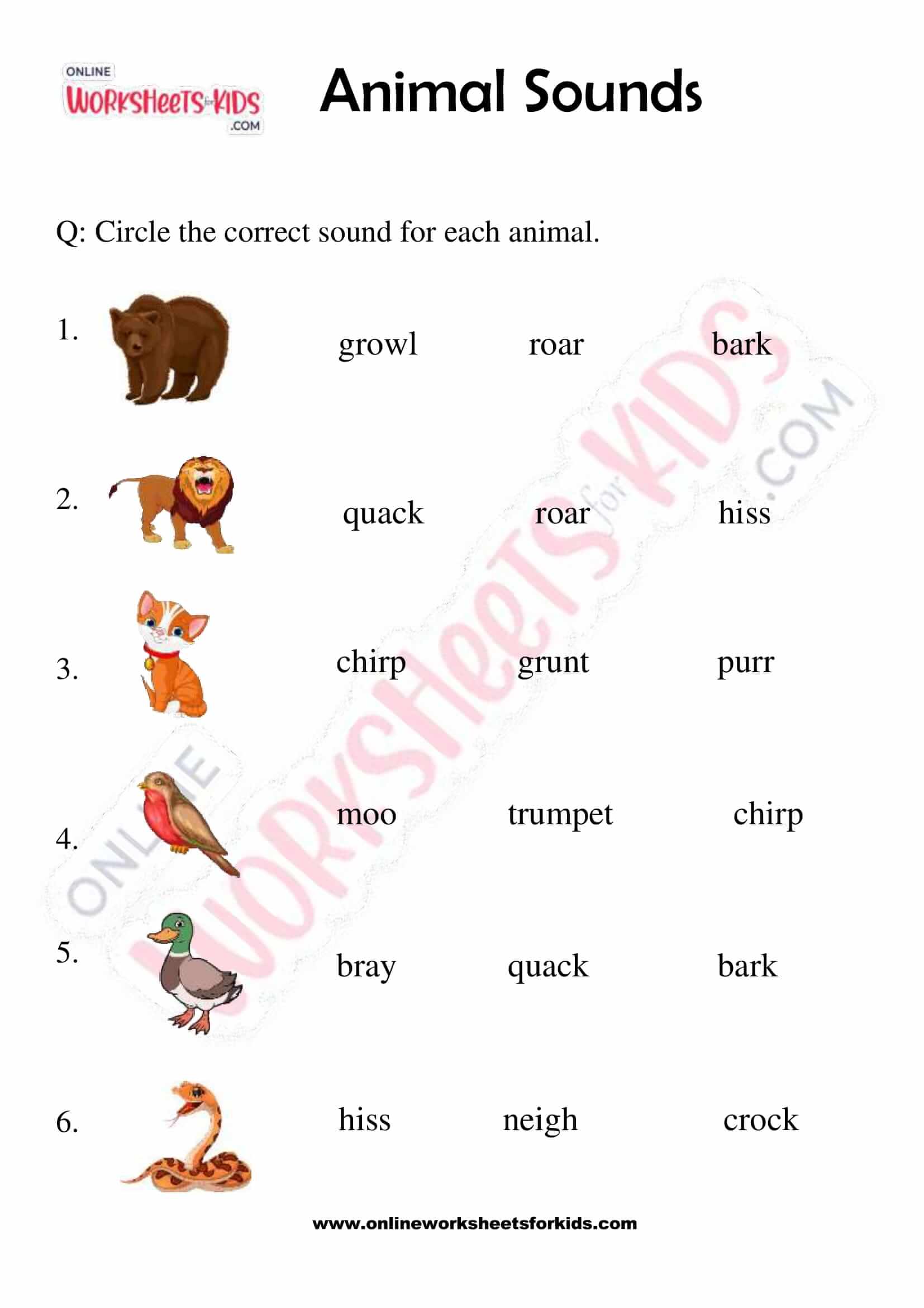 Animals and Their Sounds Worksheet for Grade 1