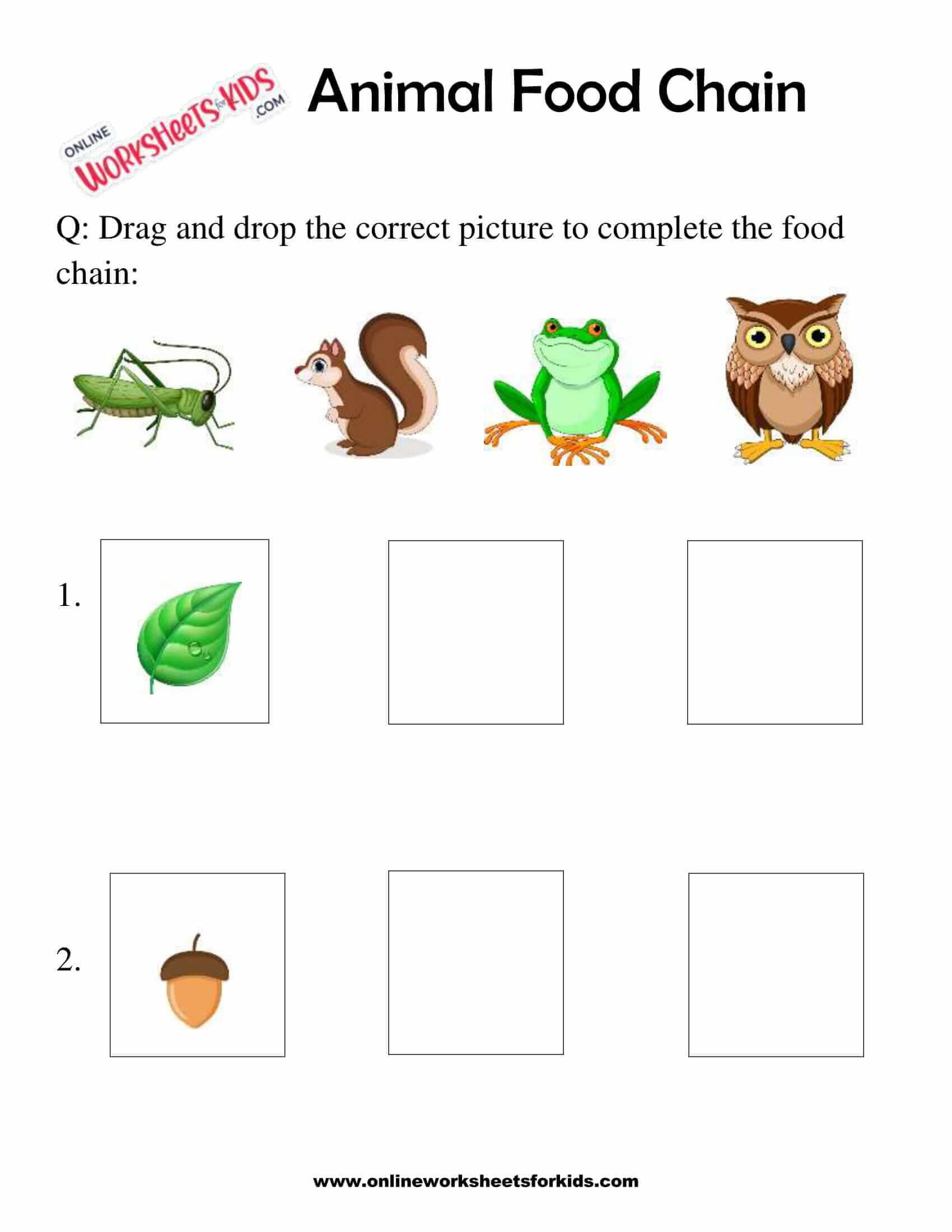 Animal Food Chain Worksheet For Grade 1-3