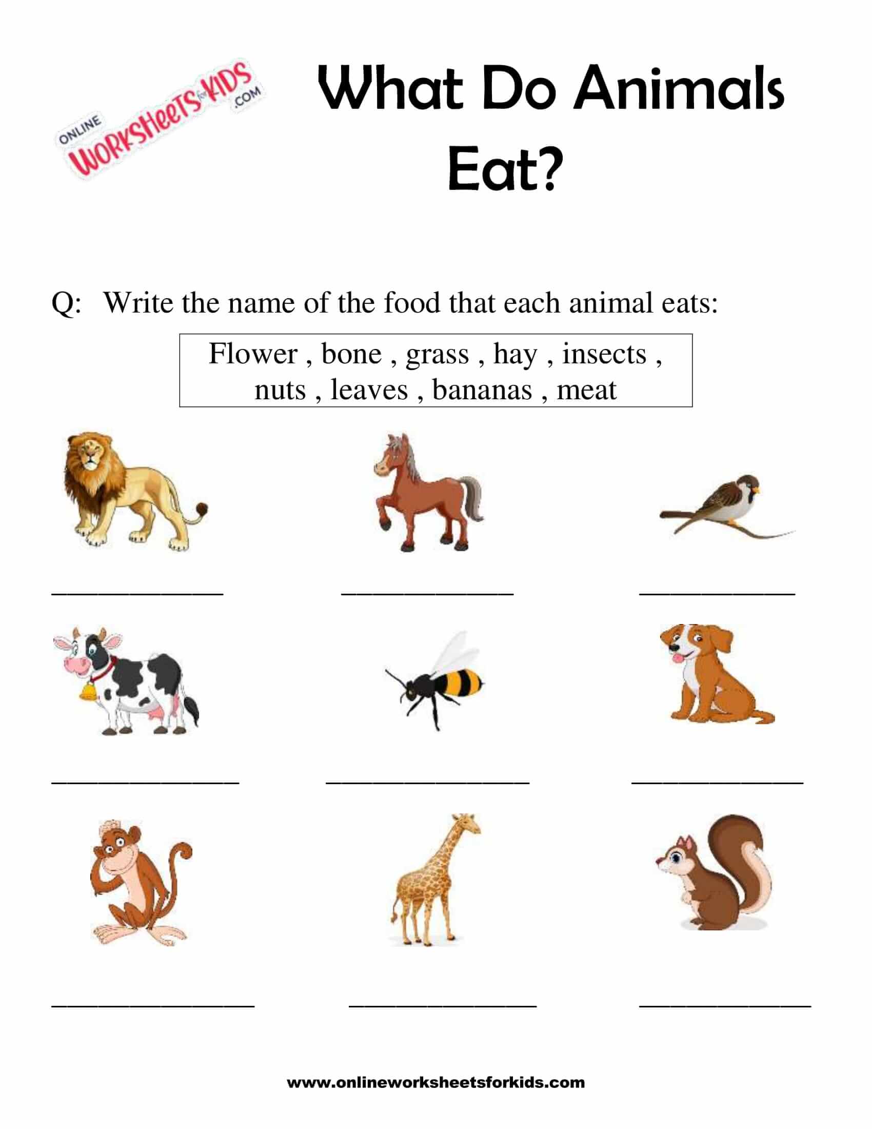 What Do Animals Eat Worksheet for Grade 12