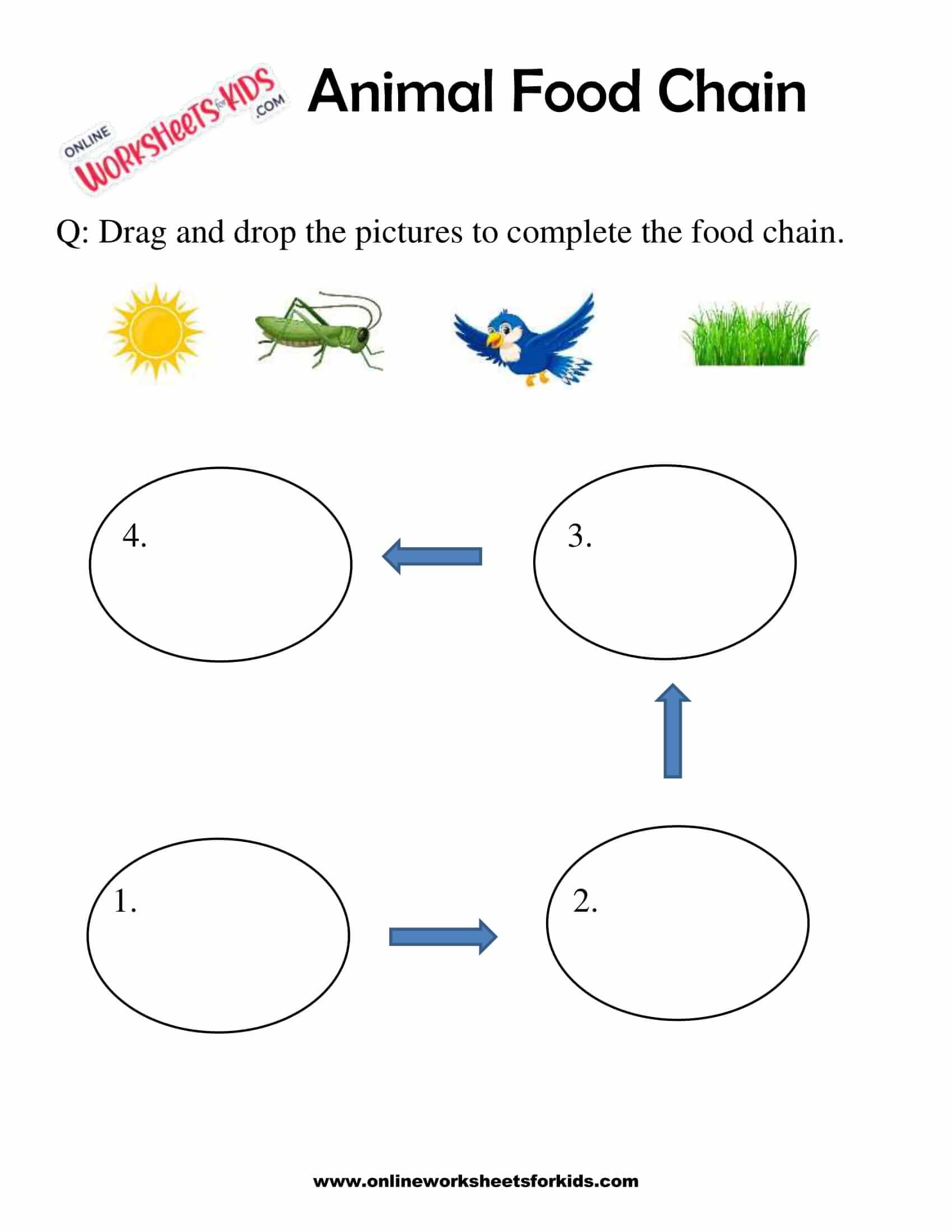 animal-food-chain-worksheet-for-grade-1-9