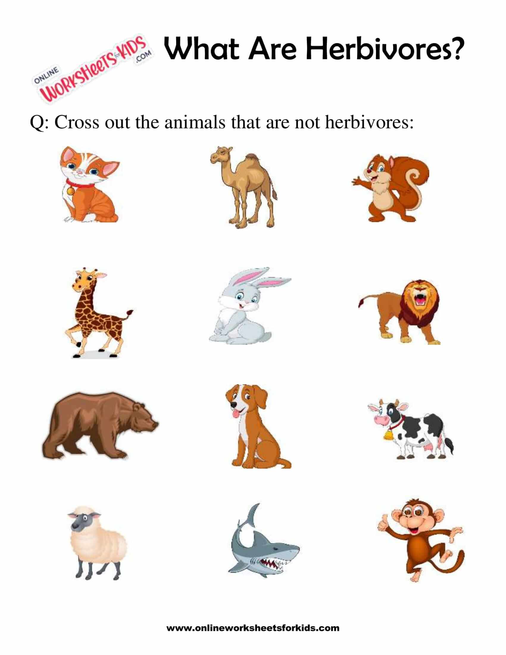What Are Herbivores Worksheets for Grade 1