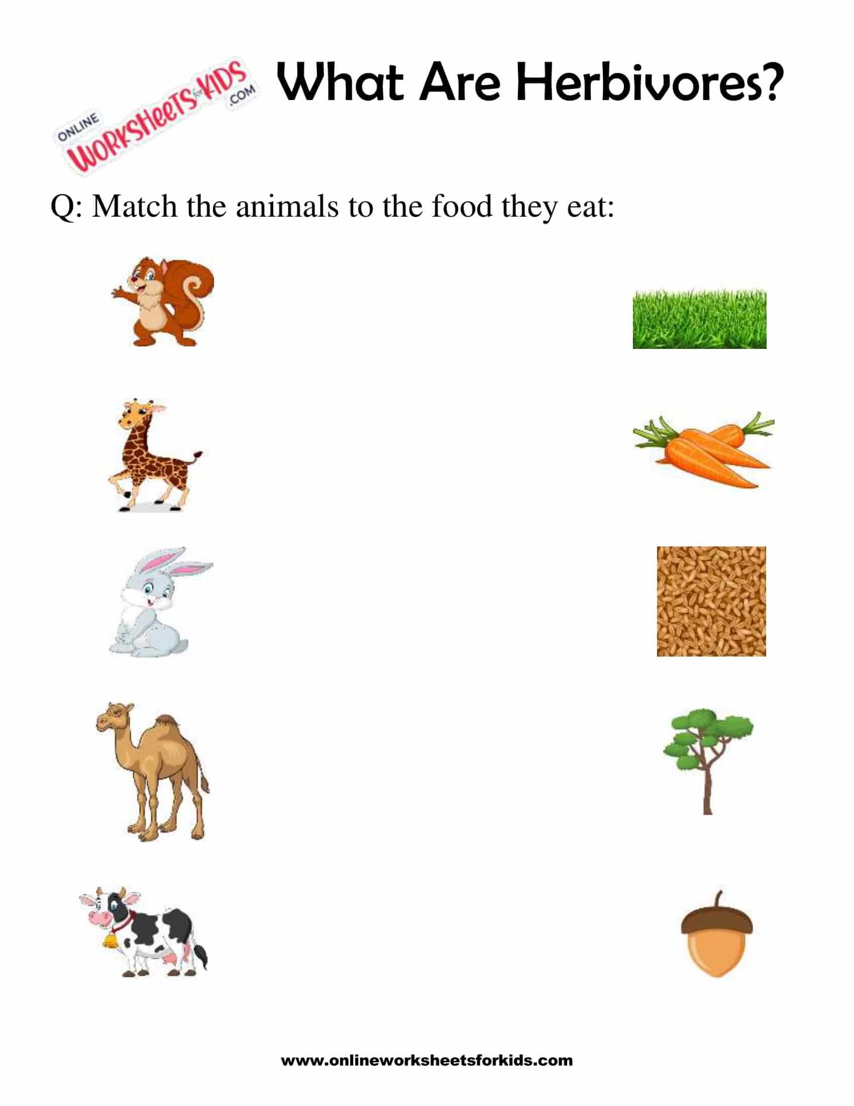 What Are Herbivores Worksheets For 1st Grade 2