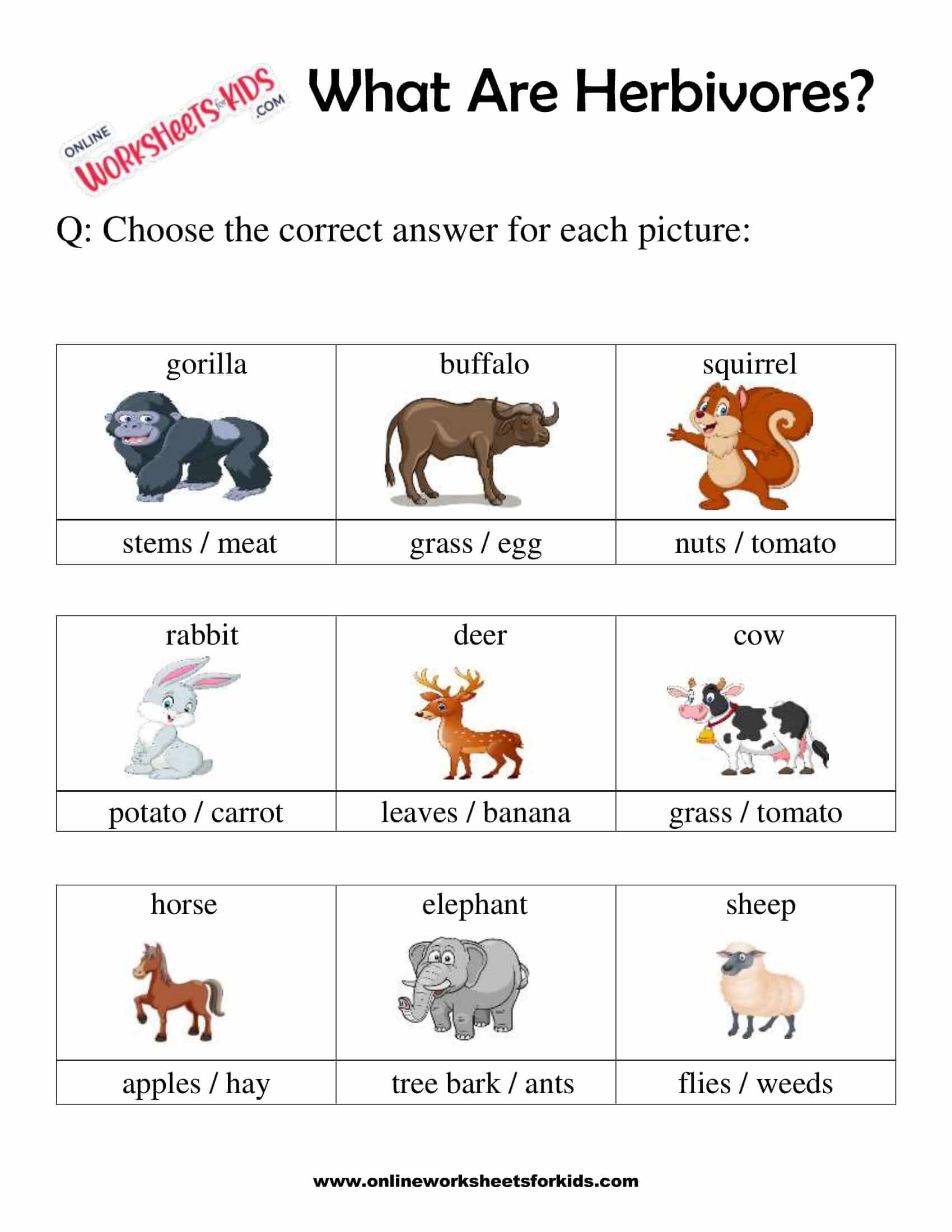 What Are Herbivores Worksheets For 1st Grade 6