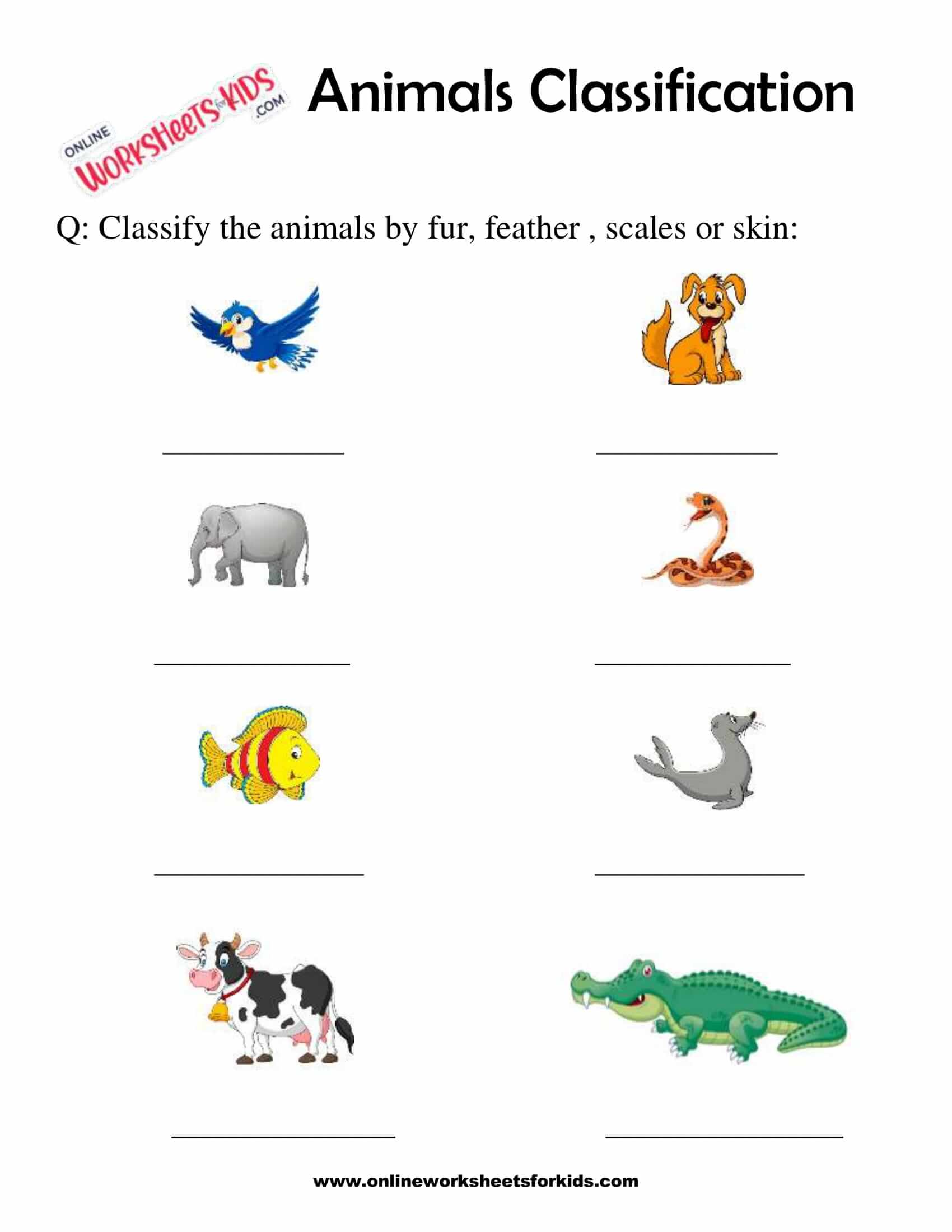 Animals Classification Worksheet For 1st Grade 3
