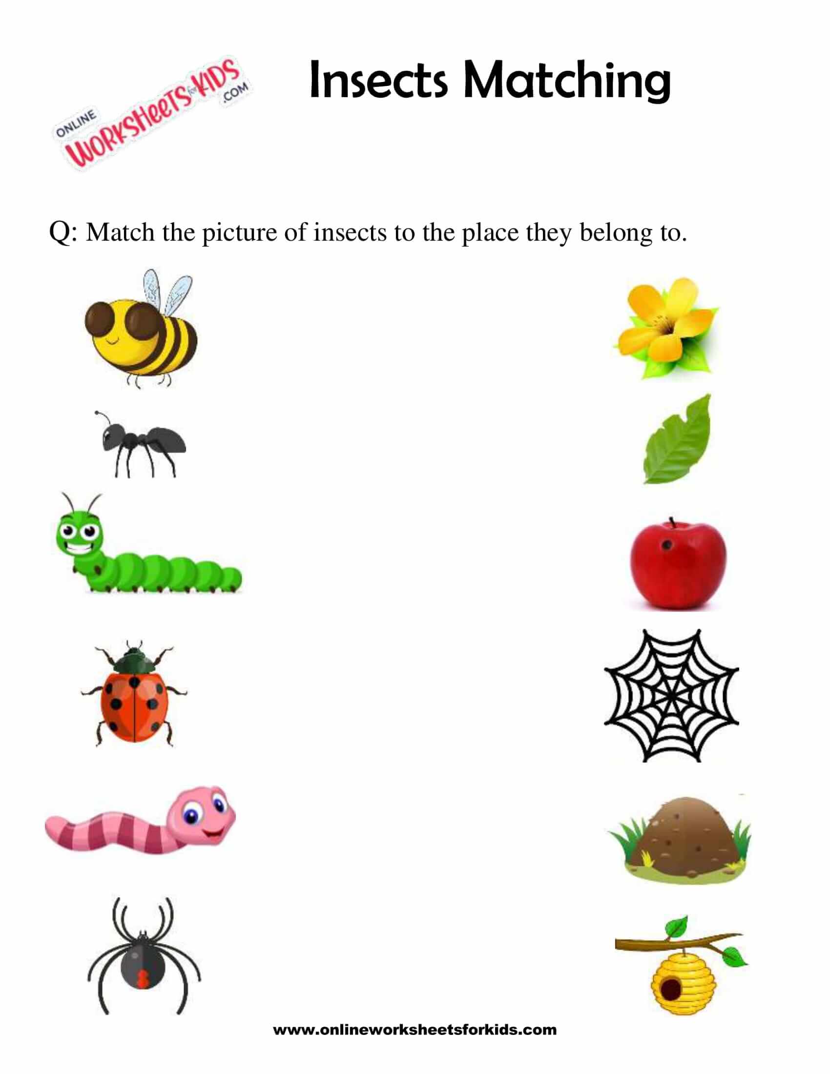 Simple Words Worksheets For Preschoolers