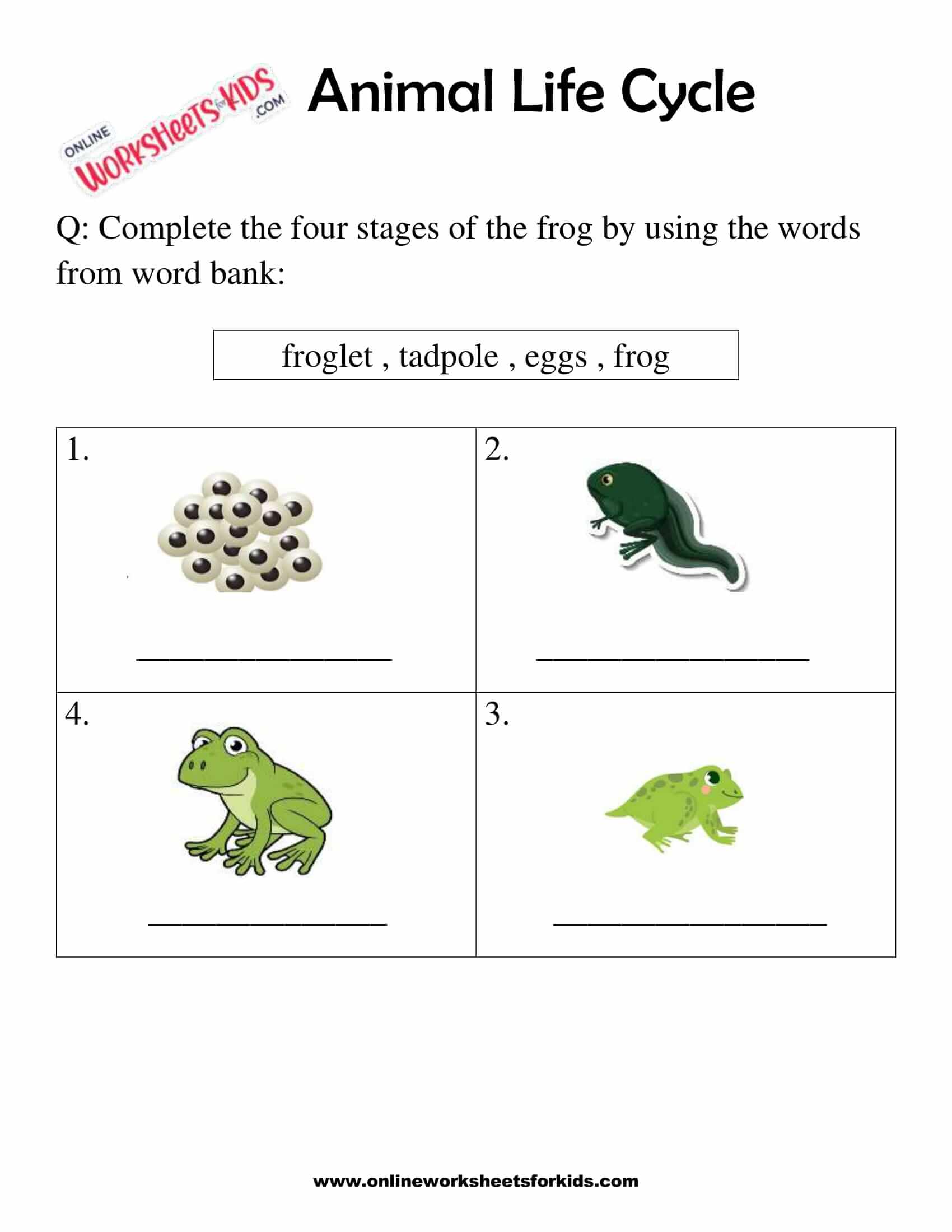 Animal Life Cycle Worksheets For 21st Grade 21 In Science Worksheet For 1st Grade