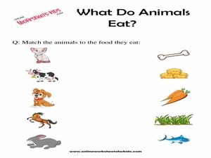 What Do Animals Eat Worksheet for Grade 1
