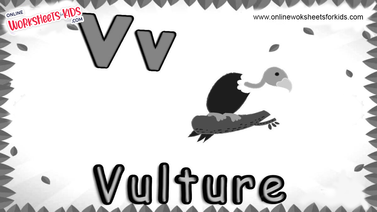 animal-that-starts-with-v