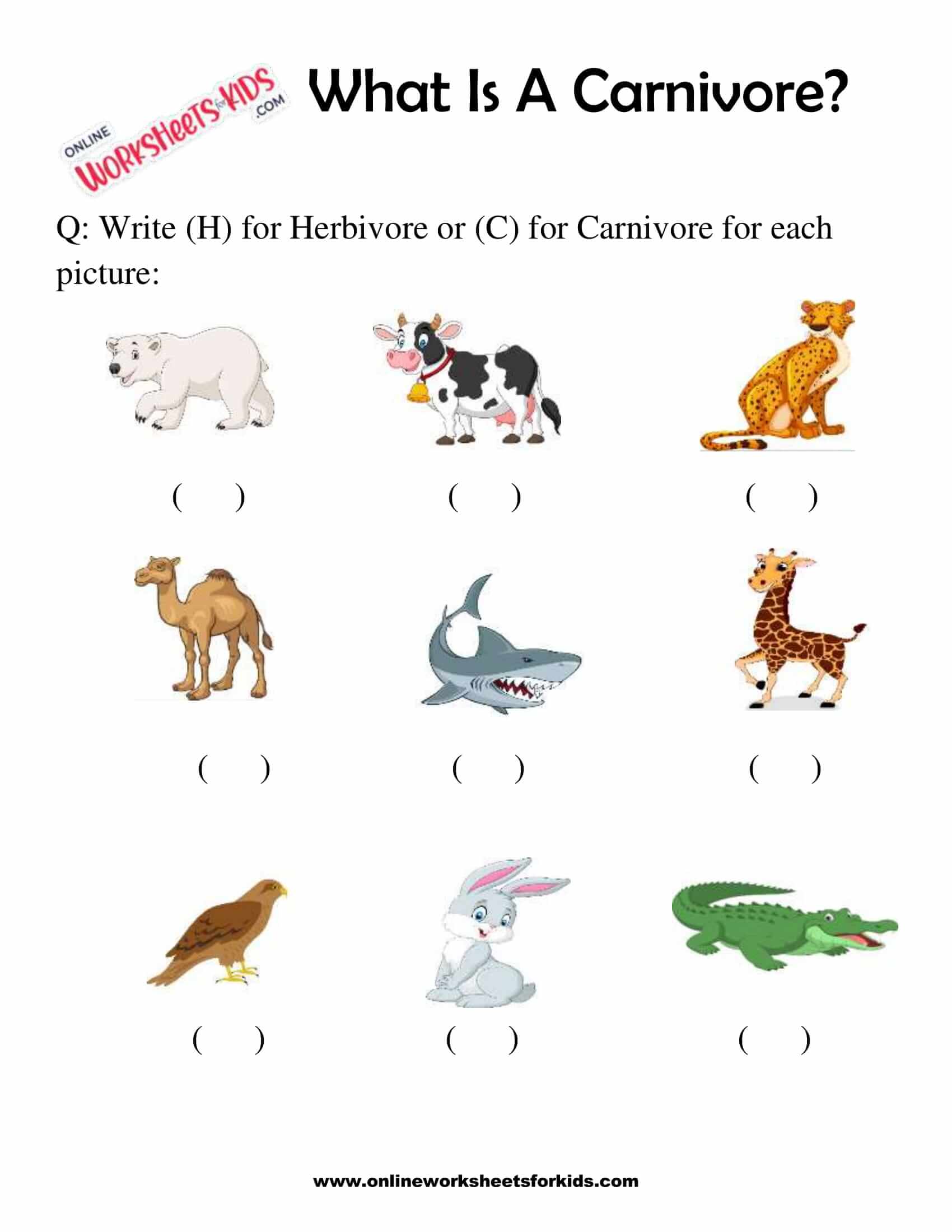 Free What Is A Carnivore Worksheets for Grade 1