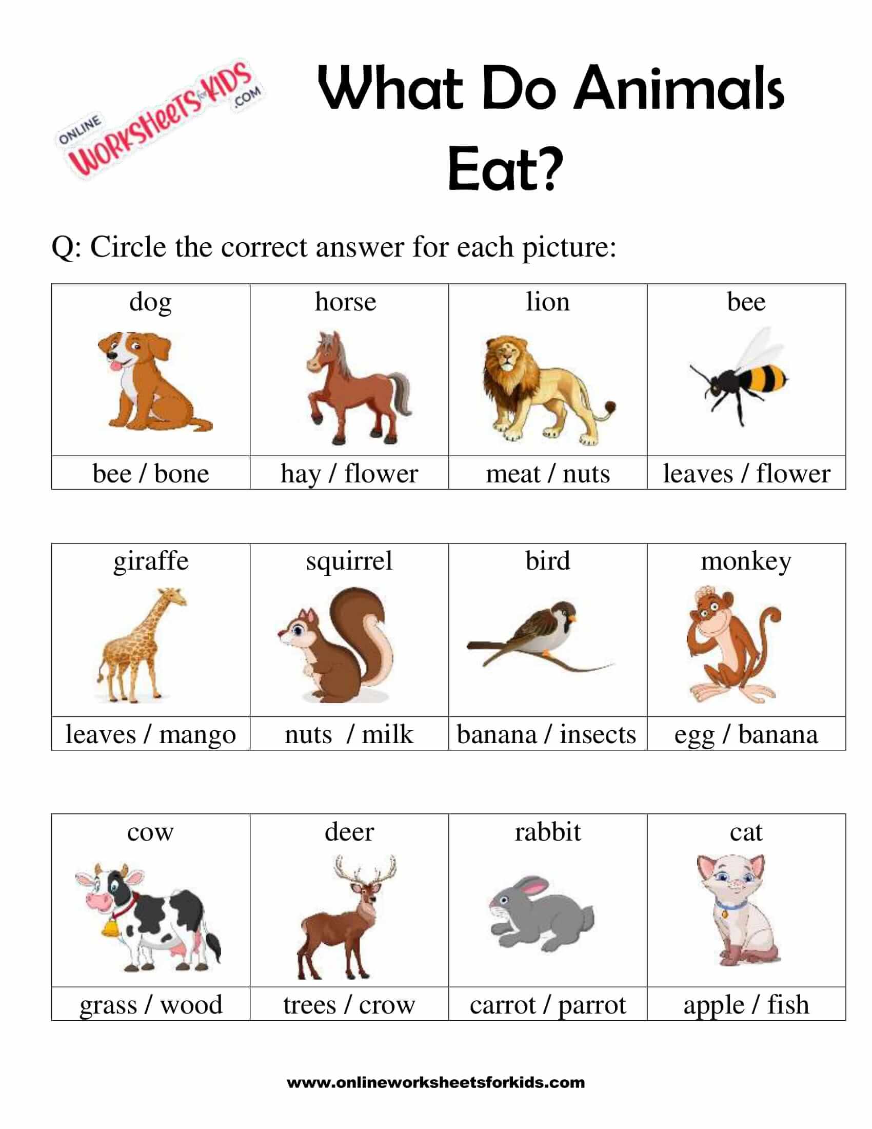 What Do Animals Eat Worksheet for Grade 1-3