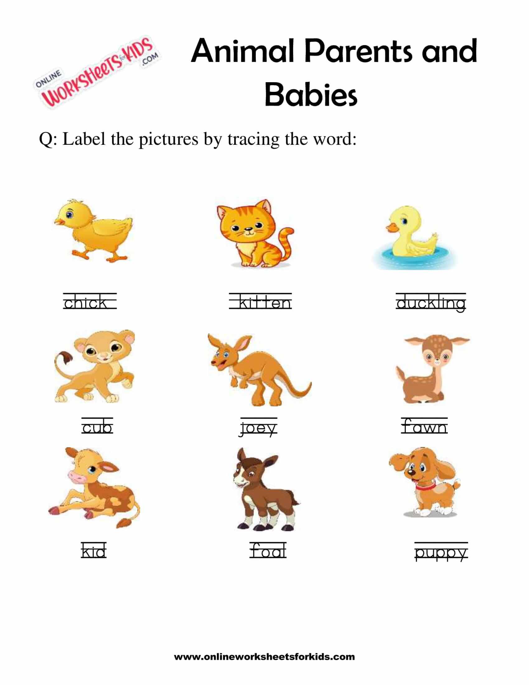 Animals and their Babies Worksheet Printable for Grade 1