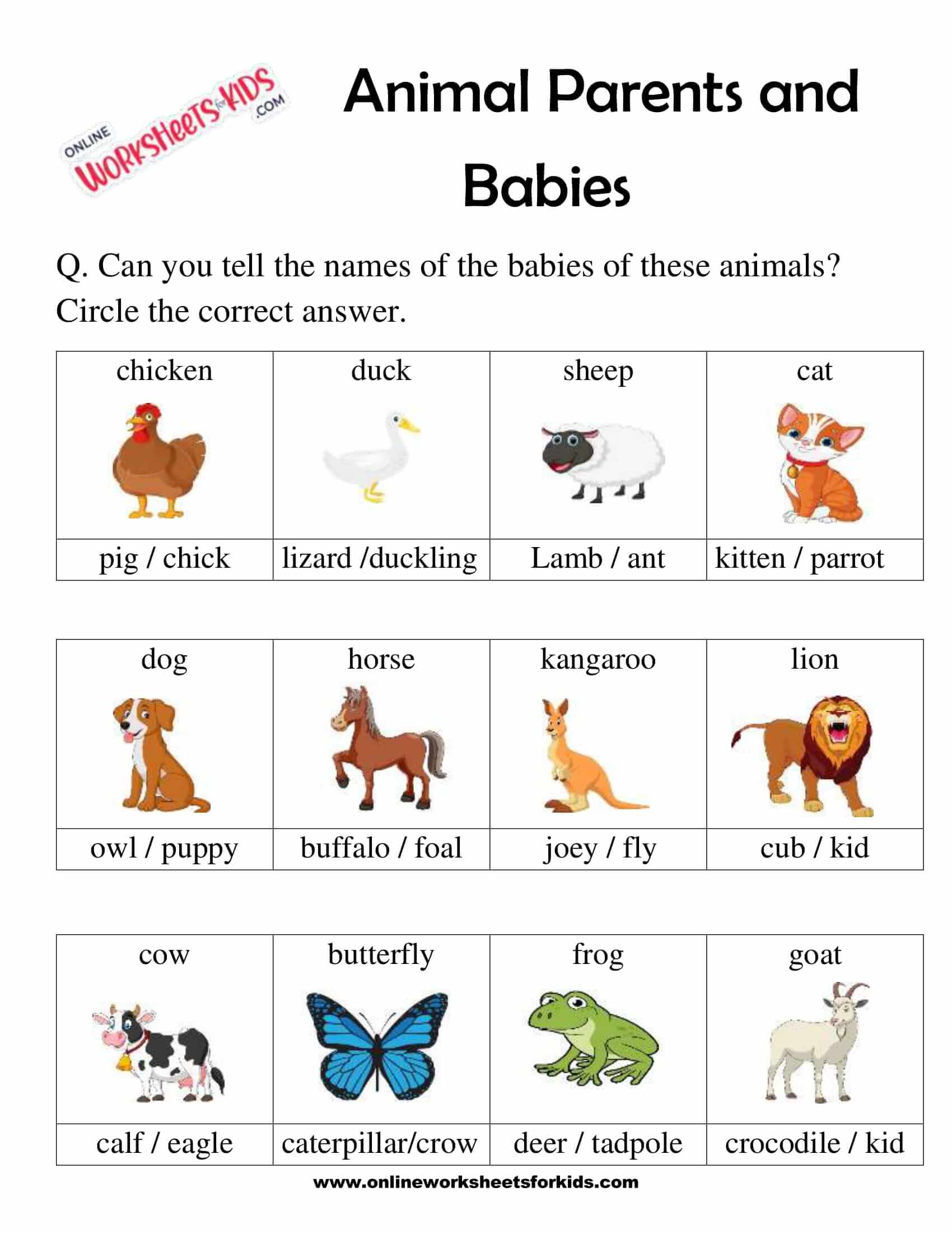 Animal Parents and Babies 4
