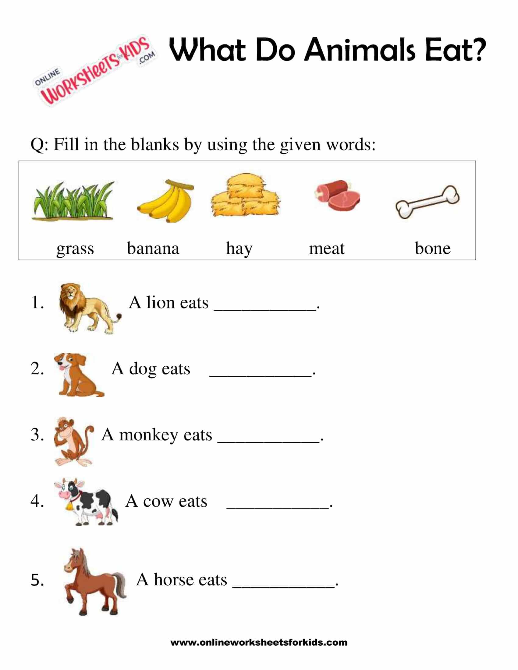 What Do Animals Eat Worksheet for Grade 1-10