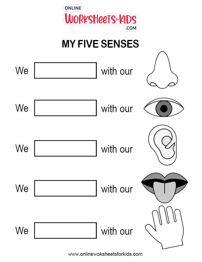 free 5 senses worksheets and printable sheets for kids