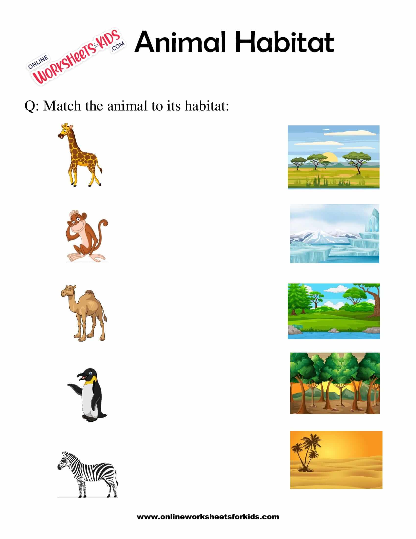 Free Animals Habitats Worksheets for Grade 1