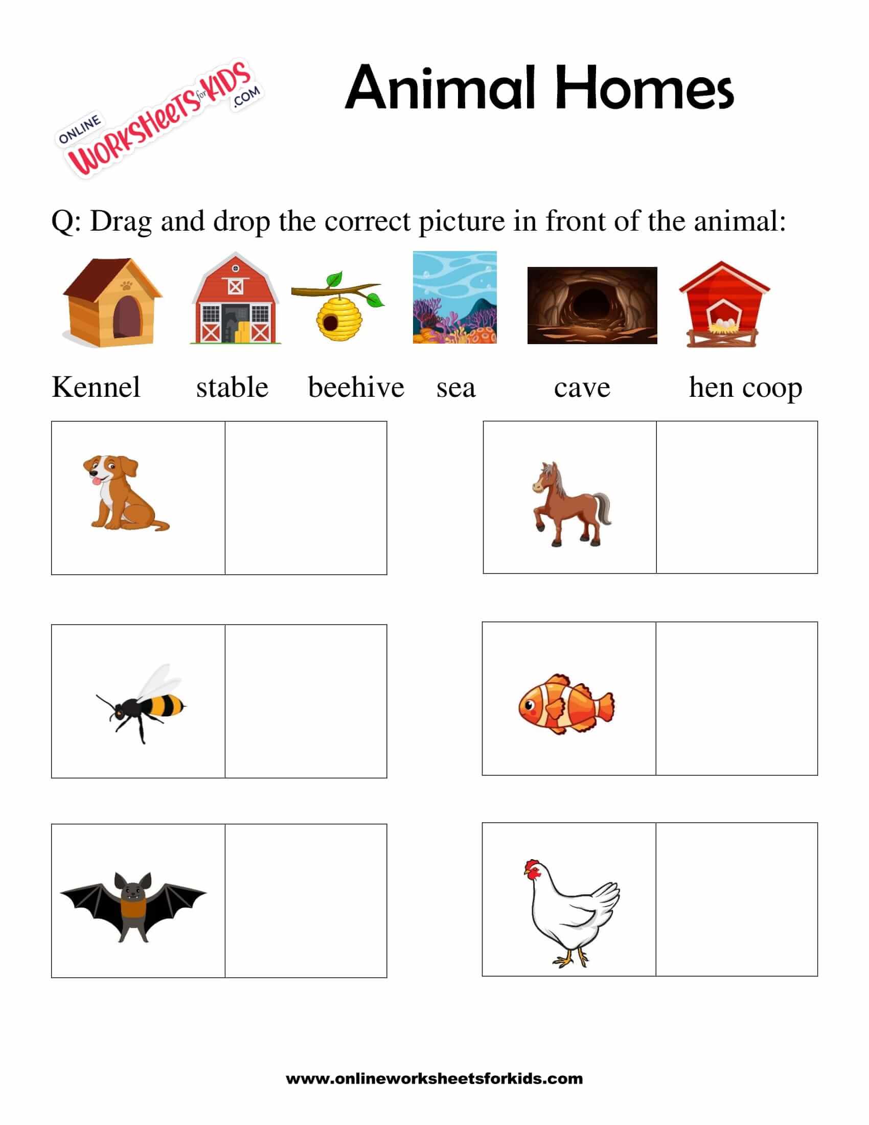 Animal Homes Worksheet for Grade 1-5