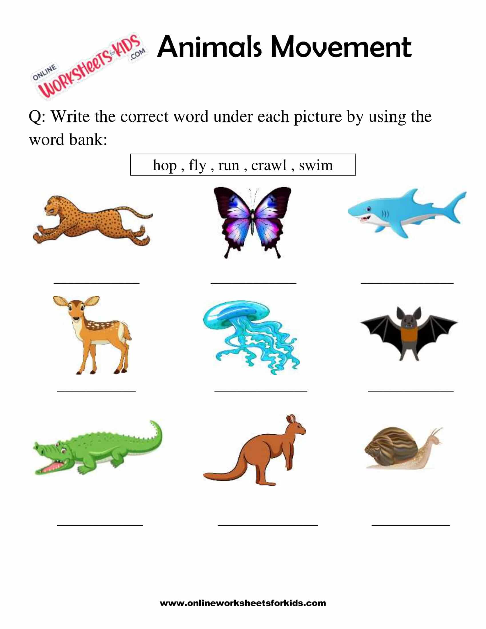 Free Animals Movement Worksheets for Grade 1