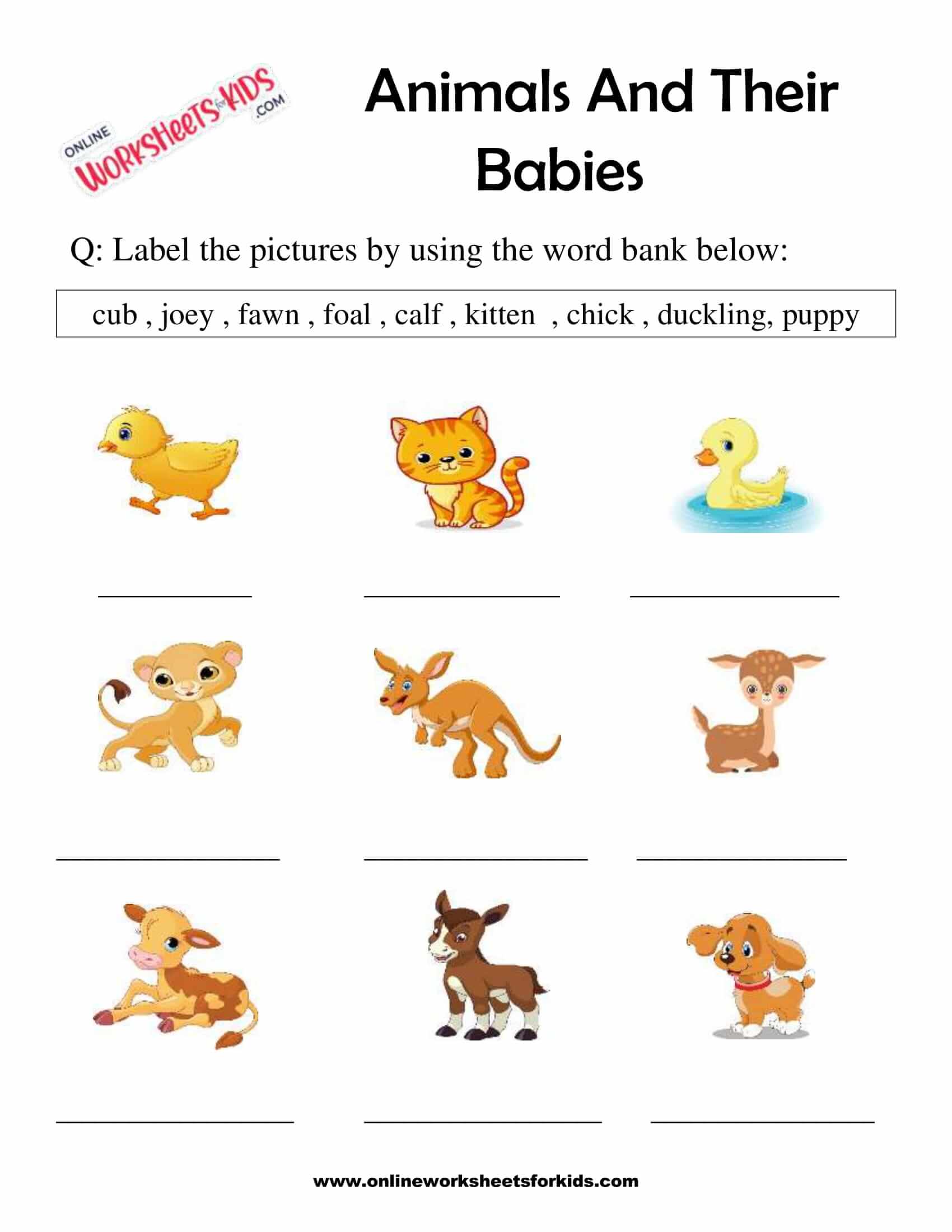 Animal And Their Babies Worksheet for Grade 1-3