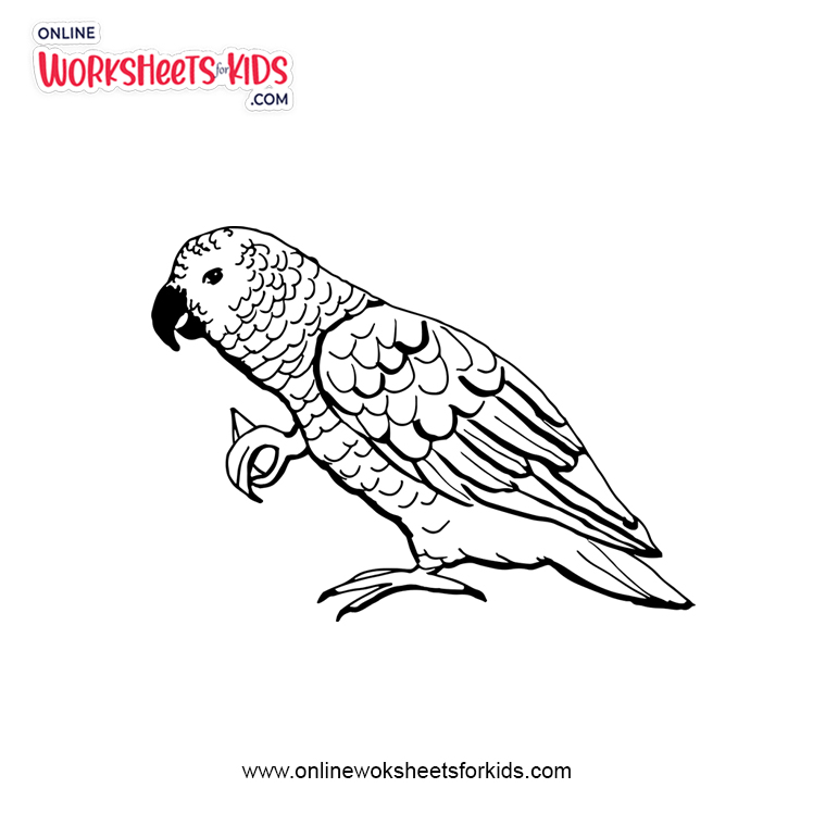 Green Parrot Coloring Pages