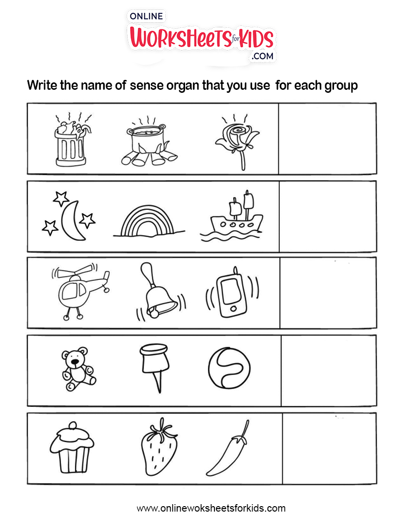 free 5 senses worksheets and printable sheets for kids