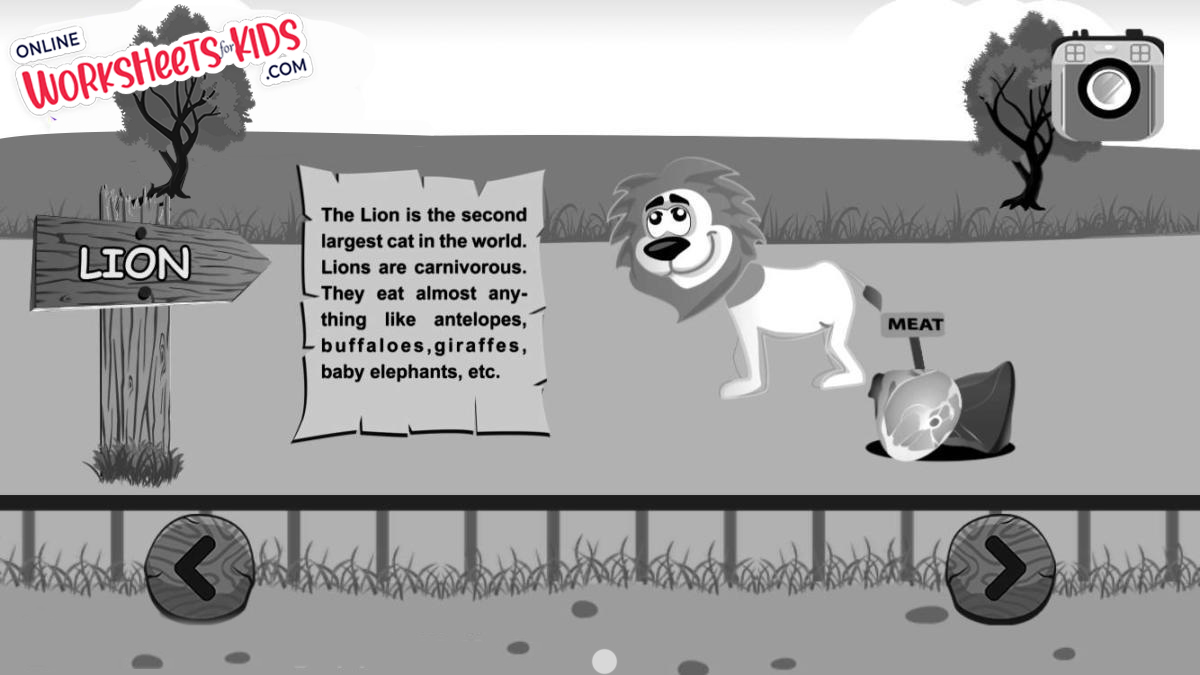 Free Facts About Zoo Animal Worksheets for Kids