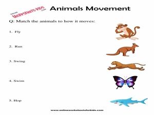 Free Animals Movement Worksheets for Grade 1