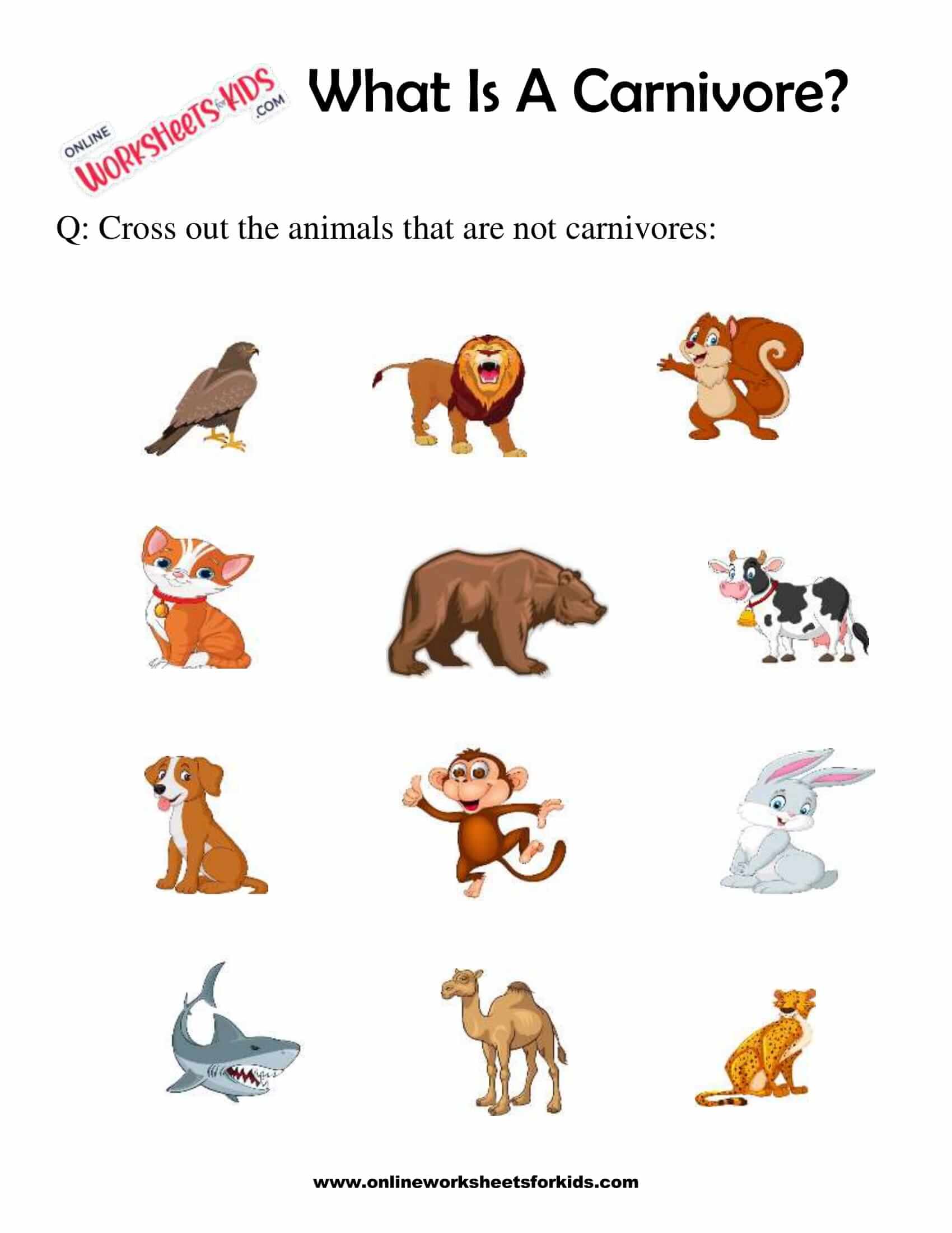 Free What Is A Carnivore Worksheets for Grade 1