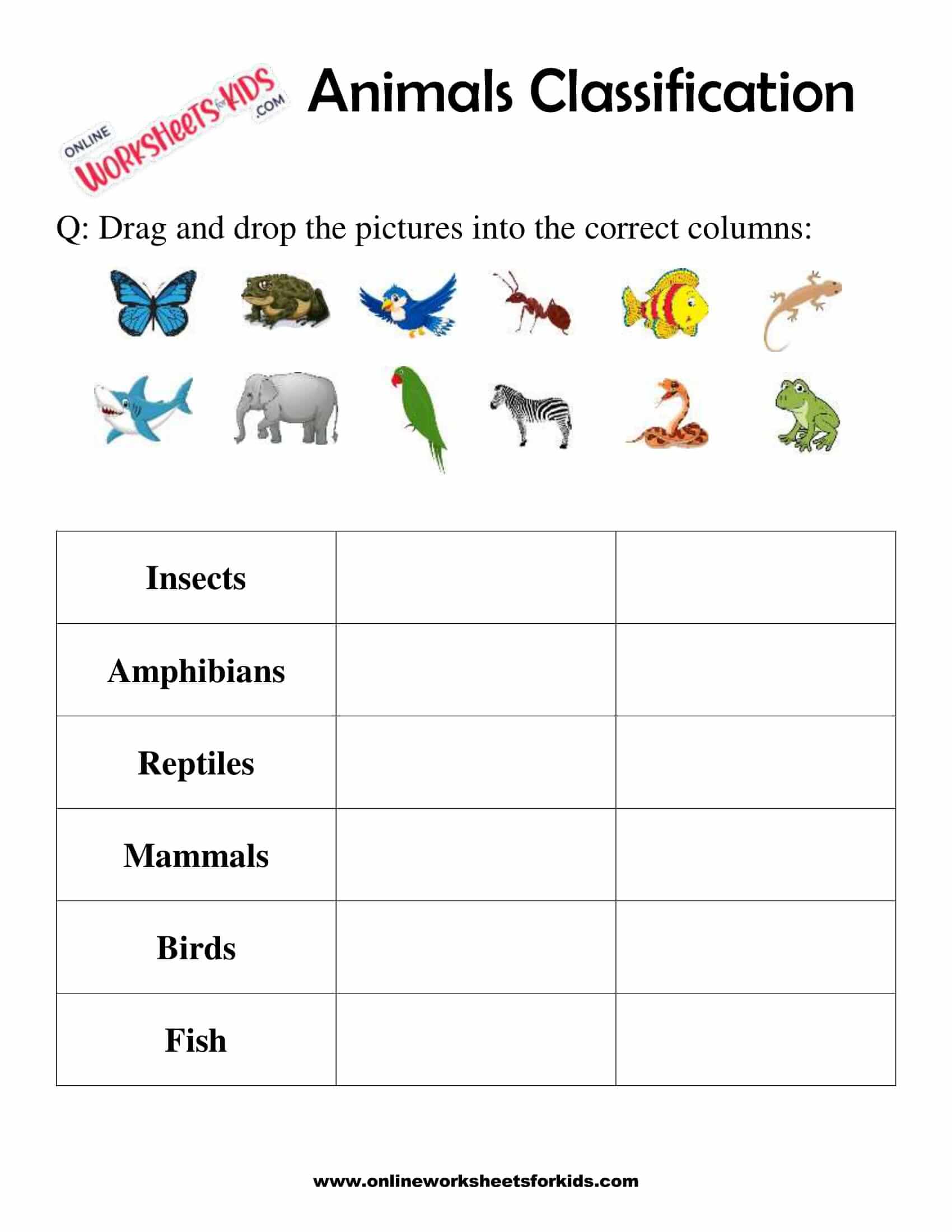 animals-classification-worksheet-for-1st-grade-2