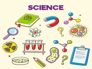 Science Worksheets for Grade 1