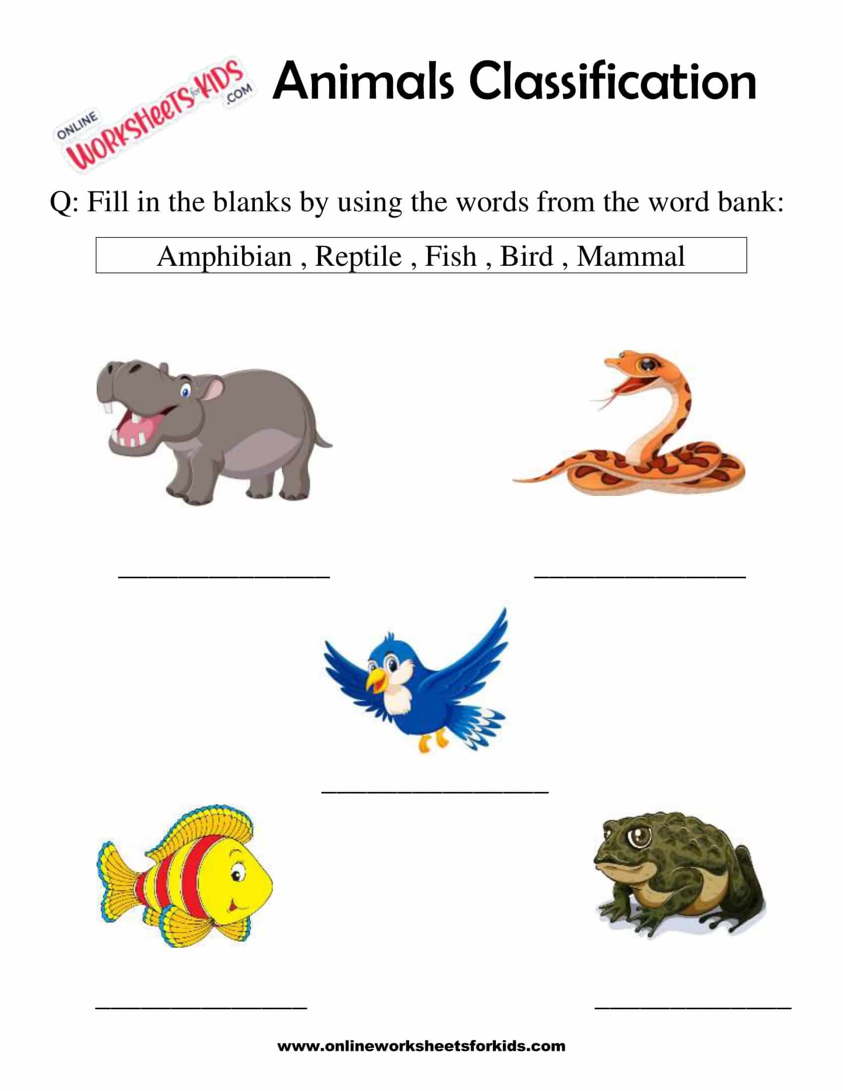 Animals Classification Worksheet For 1st Grade 10