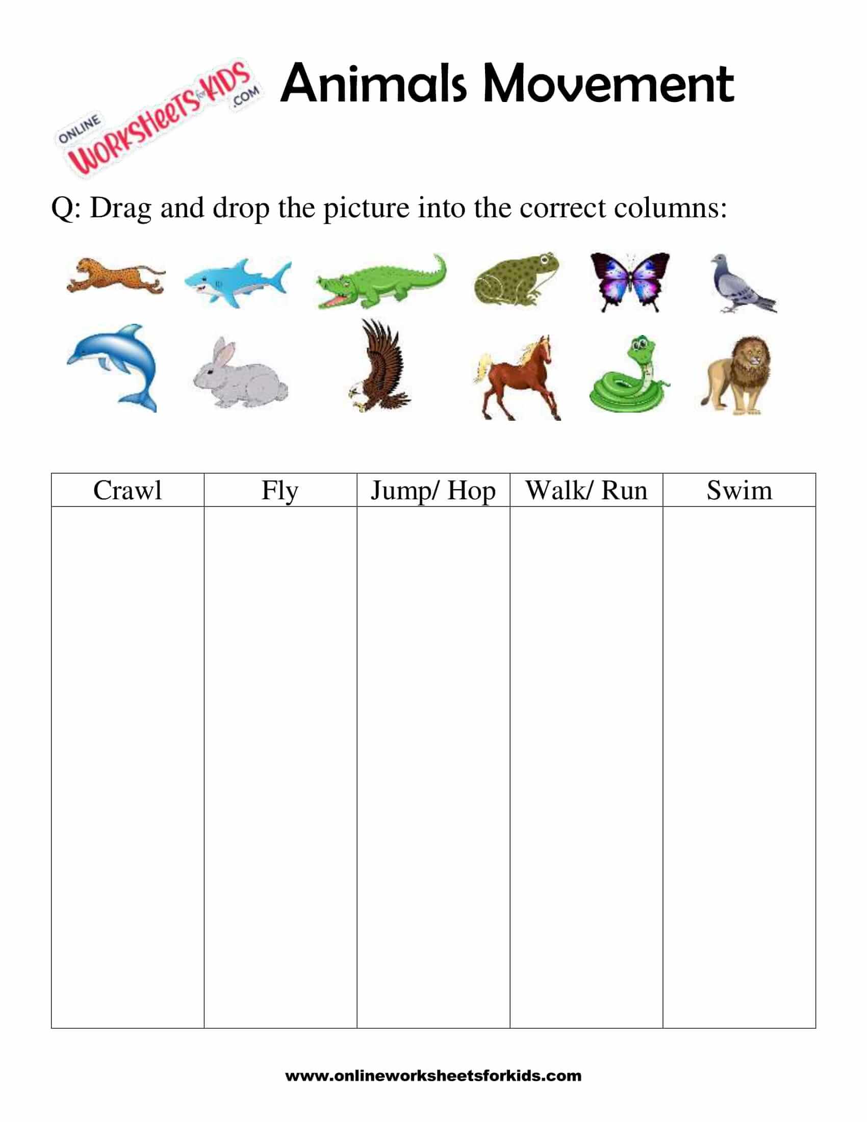 Animals Movement Worksheets For 1st Grade 3