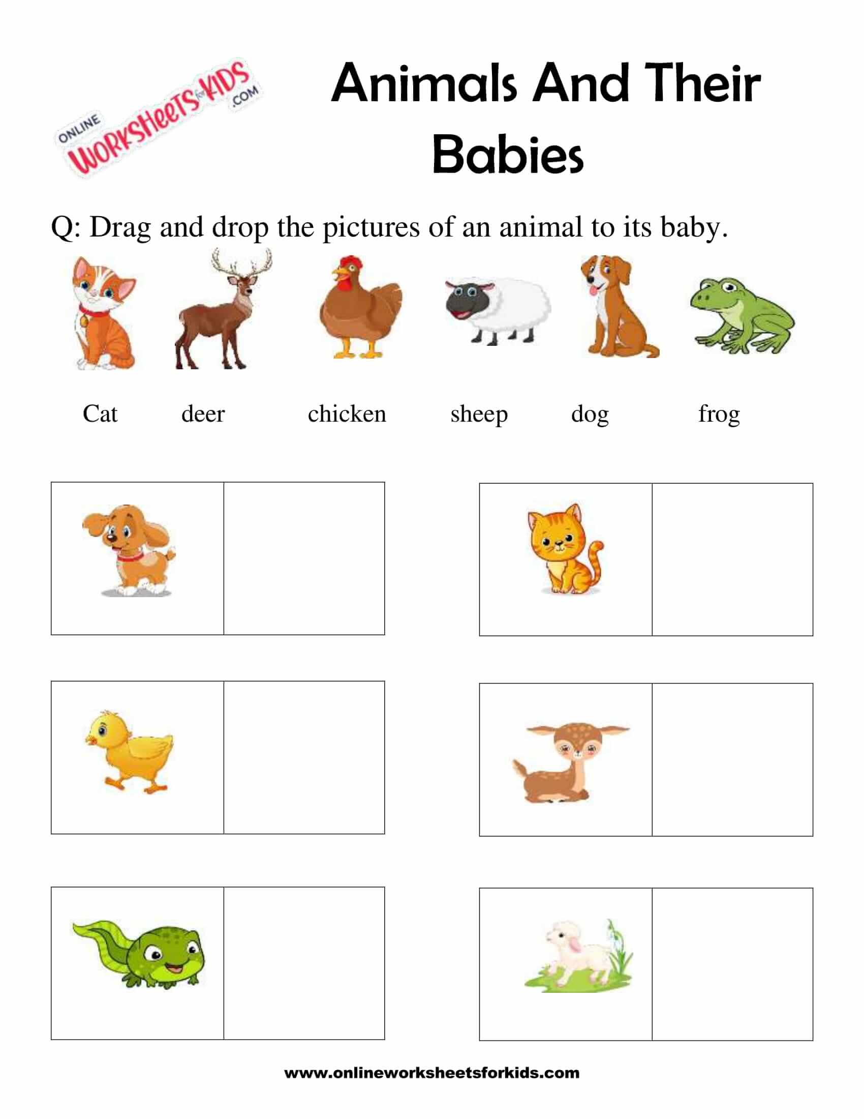 Animal And Their Babies Worksheet for Grade 1-6